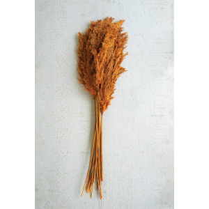 Large Bundle of Auburn Pampas Grass