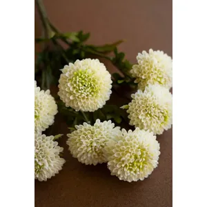 Bundle of 7 Artificial White Ball Dahlias