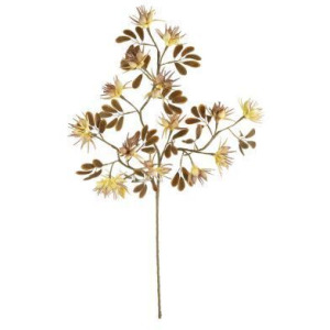 Botanica #3499