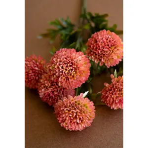 Bundle of 7 Artificial Blush Ball Dahlias