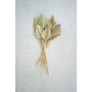 Bundle of 12 Mini Palm Spears