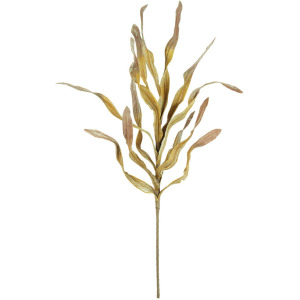Botanica #2662
