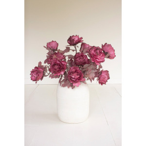 Botanica #3626
