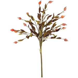Botanica #2398