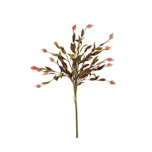 Botanica #2398
