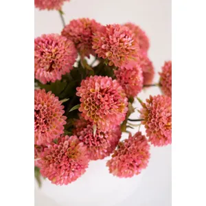 Bundle of 7 Artificial Blush Ball Dahlias