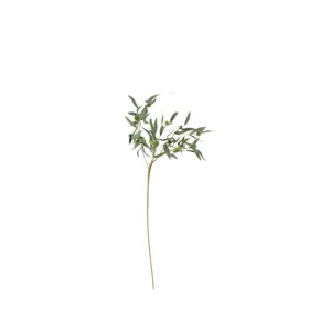 Botanica #963