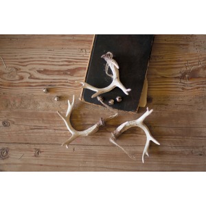 Resin Antler Ornament - Natural