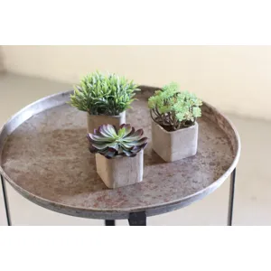 Small Artificial Succulents In Square Pots - Set of 3
