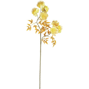 Botanica #3488