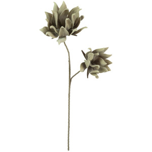 Botanica #2649
