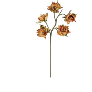 Botanica #2662