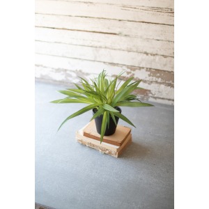 Artificial Potted Green Grass