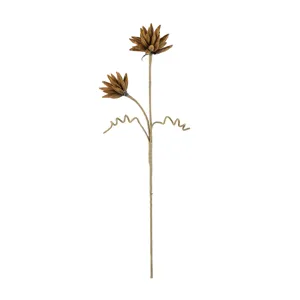 Botanica #2383
