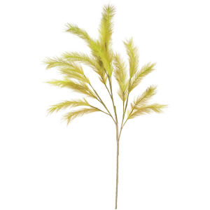 Botanica #3290