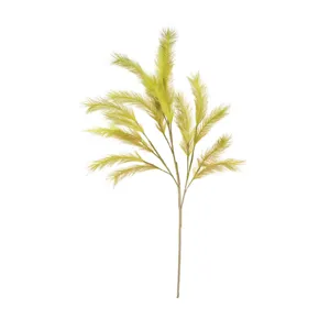 Botanica #3290
