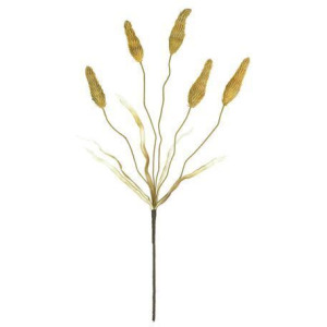 Botanica #2760