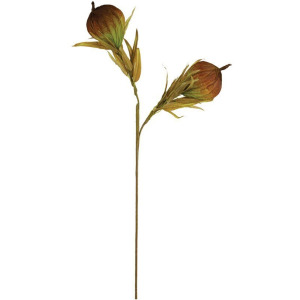 Botanica #3455