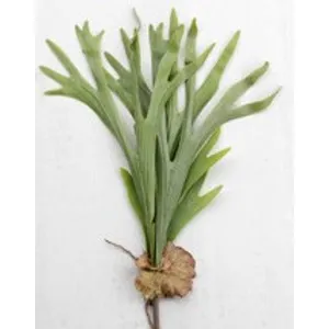 ARTIFICIAL STAG HORN FERN BRANCH