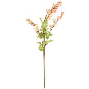 Botanica #3188