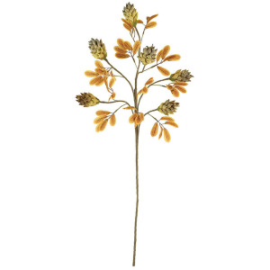 Botanica #3504