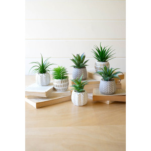 Artificial Succulents In Cement Pots - Set of 6