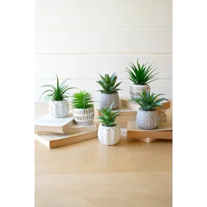 Artificial Succulents In Cement Pots - Set of 6