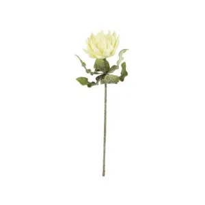 Botanica #2424