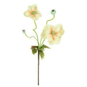 Botanica #2798