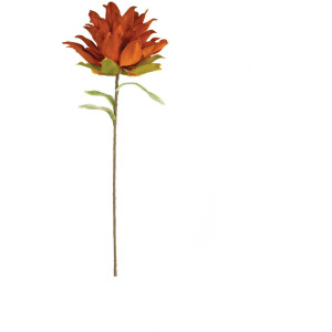 Botanica #3371