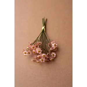 Faux Chamomile Bundle / Blush