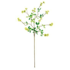 Botanica #3474
