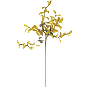 Botanica #3538