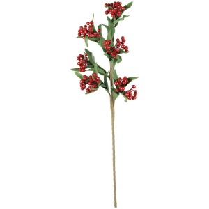 Botanica #3159