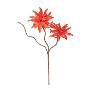 Botanica #327
