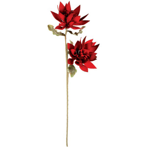 Botanica #3296