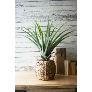 Artificial Aloe in a Woven Seagrass Pot