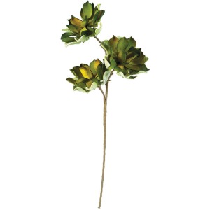 Botanica #3183