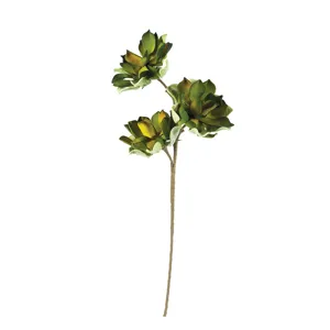 Botanica #3183