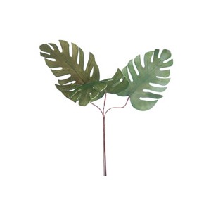 Botanica 2