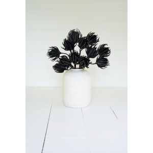 Botanica #2697