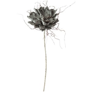 Botanica #373