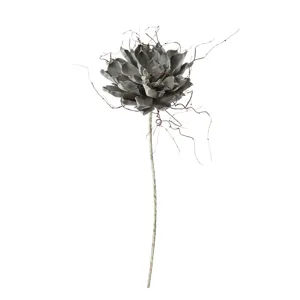 Botanica #373