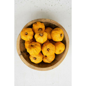 Dried Miniature Faux Pumpkins
