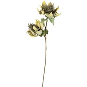 Botanica #3157