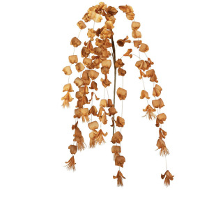 Botanica #3408