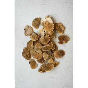 Dried Sponge Mushrooms - Bag of 48