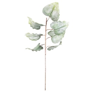 Botanica #1159