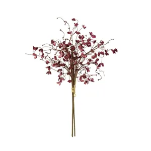 Botanica #2399
