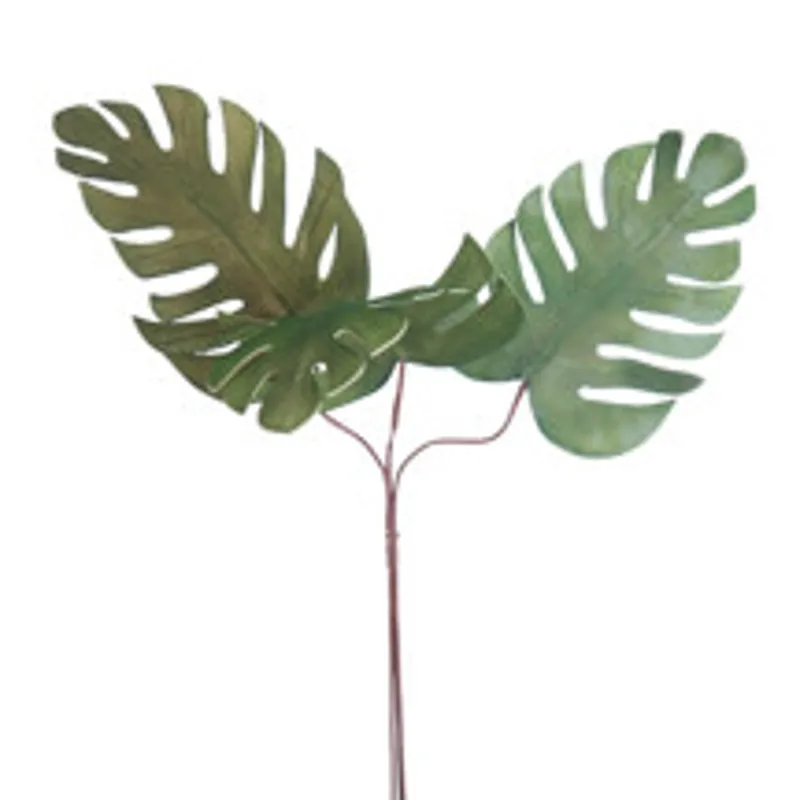 Botanica 2